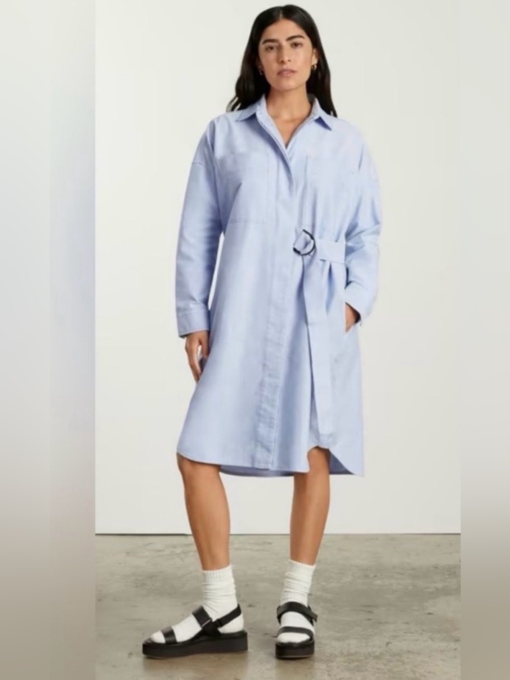 Everlane Organic Cotton The Oxford Shirtdress in Light Blue small